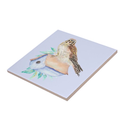 Waterverf Kestrel Sparrow Hawk Bird Tegeltje (Zijkant)