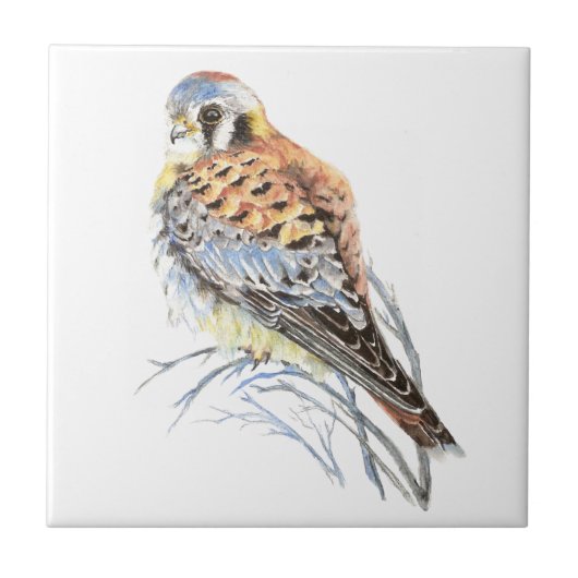 Waterverf Kestrel Sparrow Hawk Bird Wildlife Art Tegeltje (Voorkant)