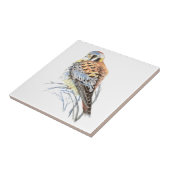 Waterverf Kestrel Sparrow Hawk Bird Wildlife Art Tegeltje (Zijkant)