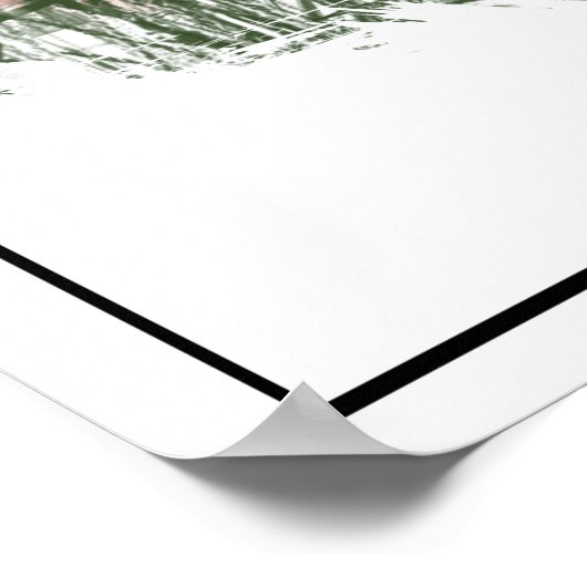 Waterverf Kestrel, Sparrow Hawk, Falcon, Bird Poster (Hoek)