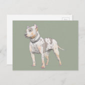 Waterverf ketch | Kute Pit Bull Terrier Dog Briefkaart (Voorkant / Achterkant)