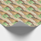 Waterverf kikkerhout cadeaupapier (Hoek)