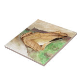 Waterverf kikkerhout tegeltje (Zijkant)