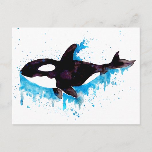Waterverf Killer Whale Briefkaart (Voorkant)