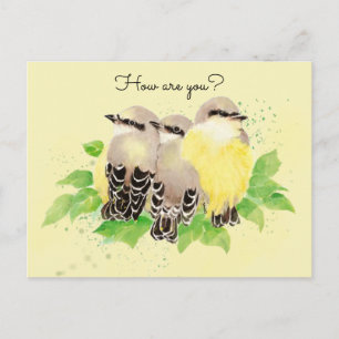 Waterverf Kingbird Garden Bird Natuur Art Briefkaart