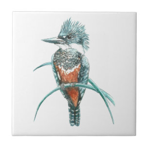Waterverf Kingfisher Bird Wildlife Art Tegeltje