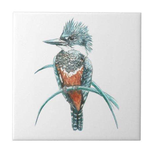 Waterverf Kingfisher Bird Wildlife Art Tegeltje (Voorkant)