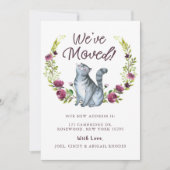 Waterverf Kitty Cat We hebben de aankondiging verp (Voorkant)