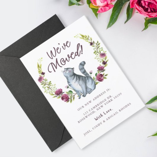 Waterverf Kitty Cat We hebben de aankondiging verp