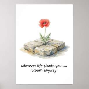 Waterverf Klaproos Waar het Leven Je ook Plant Poster