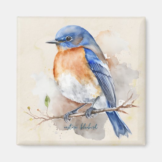 Waterverf kleine oostelijke blauwvogel magneet (Voorkant)
