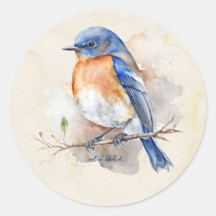 Waterverf kleine oostelijke blauwvogel ronde sticker
