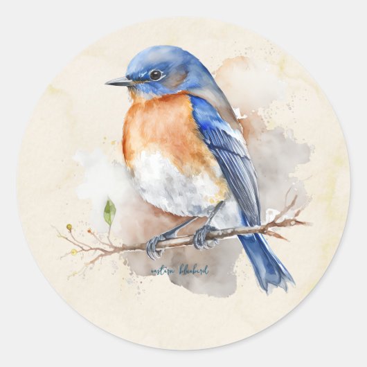 Waterverf kleine oostelijke blauwvogel ronde sticker (Voorkant)