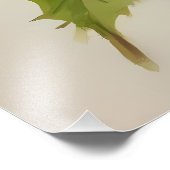 Waterverf Kleurrijke Vogelkunst - Handgeschilderd Foto Afdruk (Hoek)