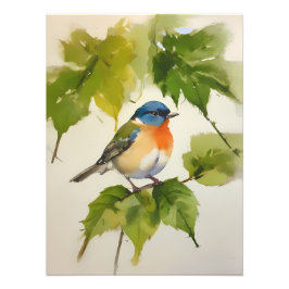 Waterverf Kleurrijke Vogelkunst - Handgeschilderd Foto Afdruk