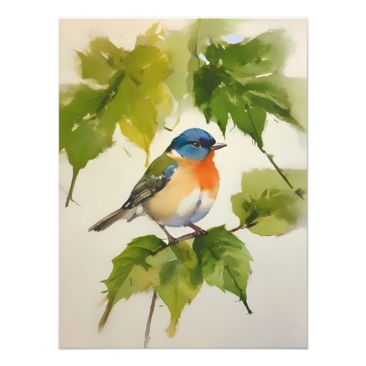 Waterverf Kleurrijke Vogelkunst - Handgeschilderd Foto Afdruk (Voorkant)