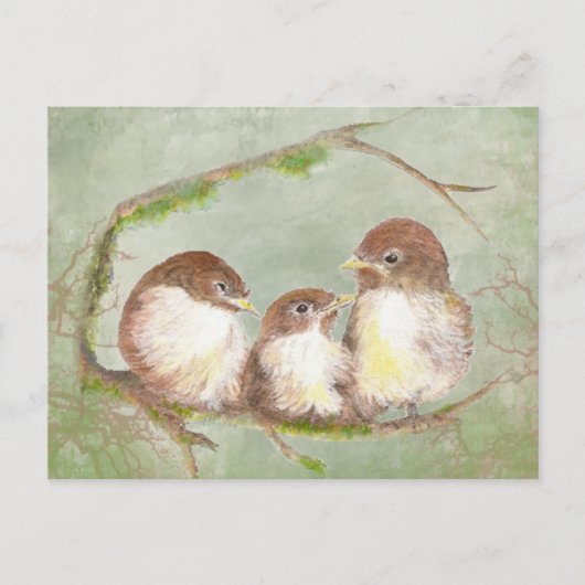Waterverf Knuffelen Mussen Vogel Familie Natuur Briefkaart (Voorkant)