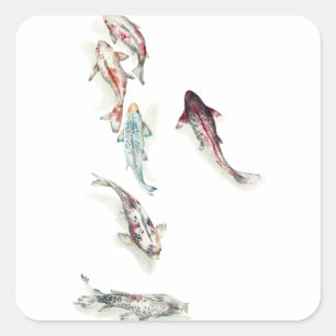 Waterverf Koi Fish Vierkante Sticker