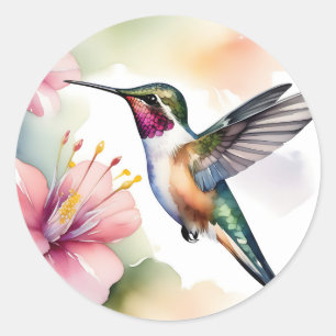 Waterverf kolibrie met roze bloemen ronde sticker