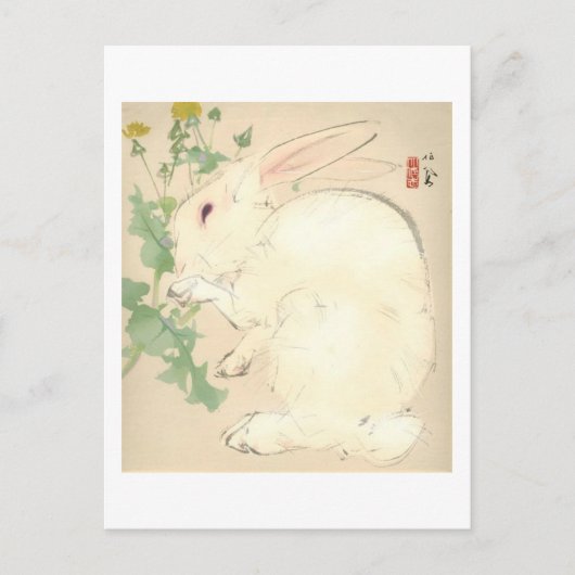 Waterverf konijn briefkaart (Voorkant)