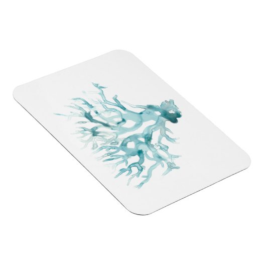 Waterverf koraal - blauw magneet (Rechterzijde)