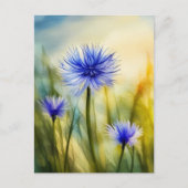 Waterverf Korenbloem, Postkruising Briefkaart (Voorkant)