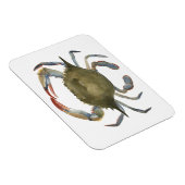 Waterverf krab - grijs magneet (Rechterzijde)