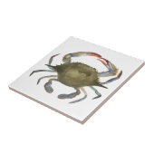 Waterverf krab - grijs tegeltje (Zijkant)