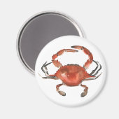 Waterverf krab - rood magneet (Voorkant / Achterkant)