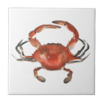 Waterverf krab - rood tegeltje<br><div class="desc">waterverf Crab van Emma Scarvey. Met een rode waterverf krab op witte achtergrond.</div>