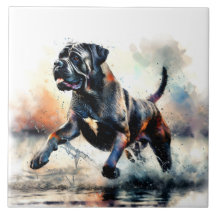 Waterverf krachtige Cane Corso hond