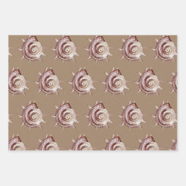 Waterverf Kraft Paper Sea Shelby the Zee Shore