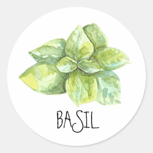 Waterverf Kruid Basilicum Ronde Sticker (Voorkant)