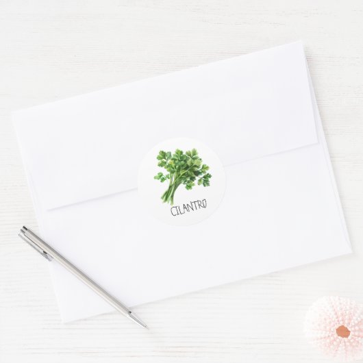 Waterverf Kruid Cilantro Ronde Sticker (Envelop)