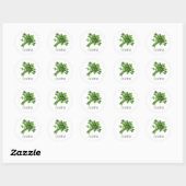 Waterverf Kruid Coriander Ronde Sticker (Vel)