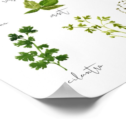 Waterverf Kruid Keuken Print Wall Art (Hoek)