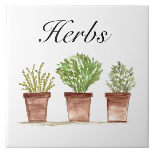 Waterverf kruiden Thyme Rosemary Parsley Planten P Tegeltje (Voorkant)