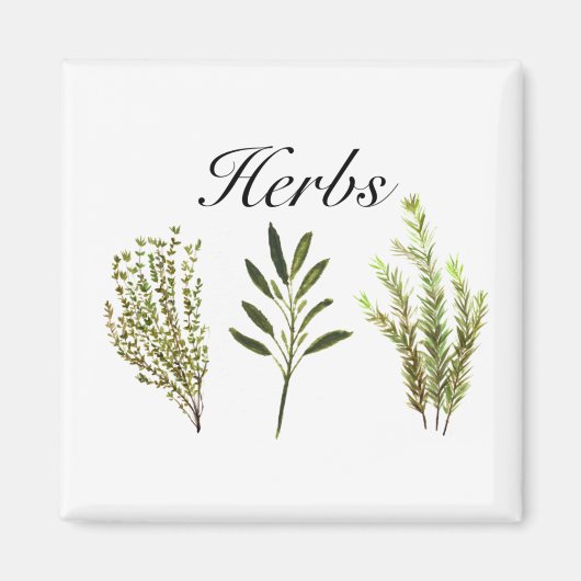 Waterverf kruiden Thyme Rosemary Sage Planten Pot Magneet (Voorkant)