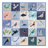 Waterverf Kunst van Vogels over de hele Wereld Perfect Poster (Voorkant)