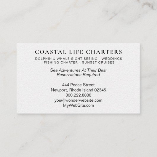 *~* Waterverf Kustdolfijnen Zee Visitekaartje (Achterkant)