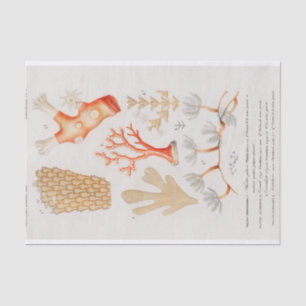 waterverf kustkoraal tissuepapier