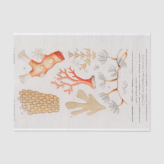 waterverf kustkoraal tissuepapier