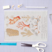 waterverf kustkoraal tissuepapier (Craft)