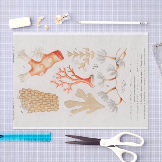 waterverf kustkoraal tissuepapier (Craft)