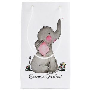 Waterverf Kute Baby Elephant met Blush & Flowers Klein Cadeauzakje