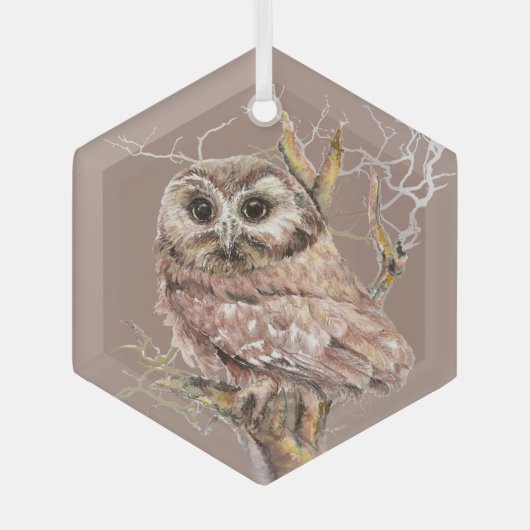 Waterverf Kute Little Owl Bird in Tree Glas Ornament (Voorkant)