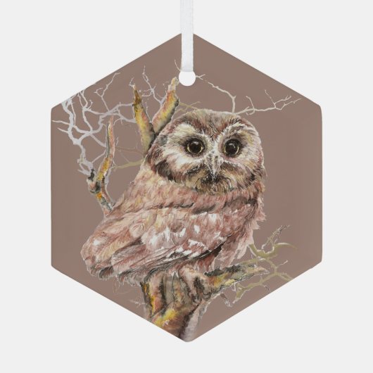 Waterverf Kute Little Owl Bird in Tree Glas Ornament (Achterkant)