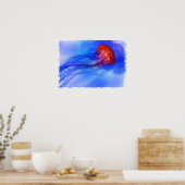 Waterverf kwallen poster (Keuken)