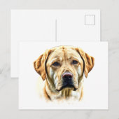 Waterverf Labrador Retriever Briefkaart (Voorkant / Achterkant)