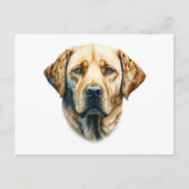Waterverf Labrador Retriever Briefkaart (Voorkant)